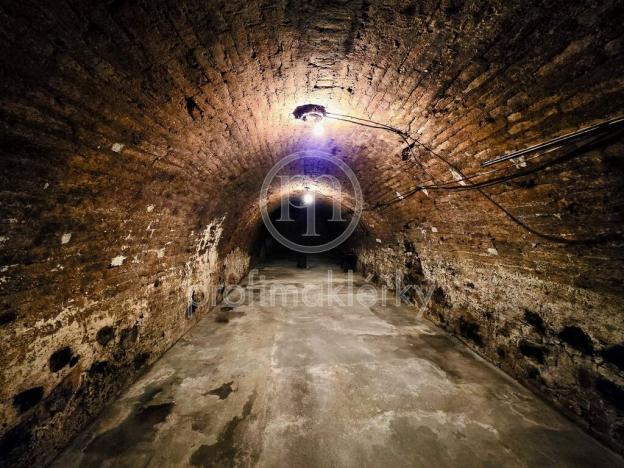 Prodej - jiné, Zaječí, Dolní, 169 m2