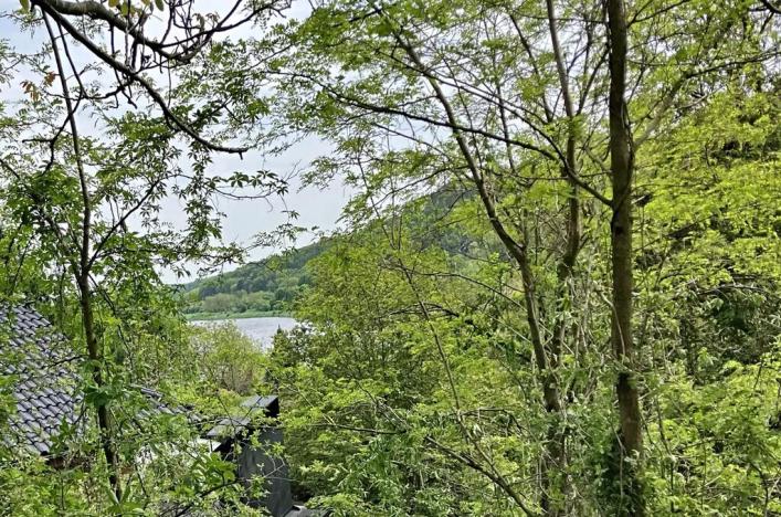 Prodej pozemku pro bydlení, Husinec, Husinecká, 1277 m2