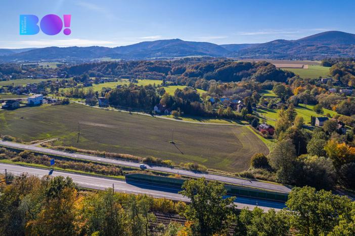 Prodej komerčního pozemku, Návsí, 8000 m2