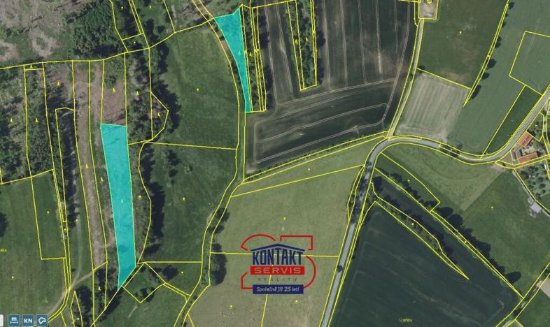 Prodej lesa, Pravonín - Tisek, 38239 m2