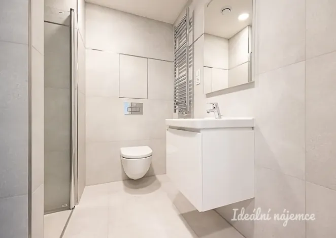 Pronájem bytu 1+kk, Praha - Žižkov, Basilejské náměstí, 42 m2