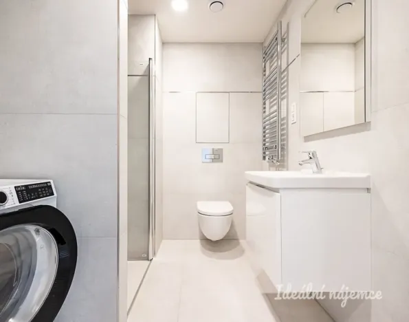 Pronájem bytu 1+kk, Praha - Žižkov, Basilejské náměstí, 42 m2