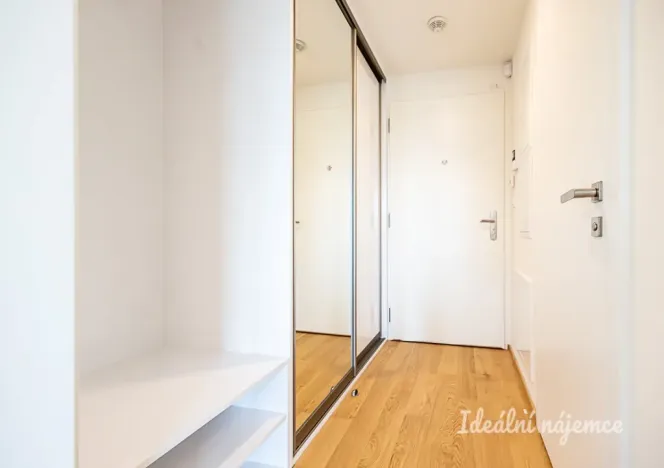 Pronájem bytu 1+kk, Praha - Žižkov, Basilejské náměstí, 42 m2