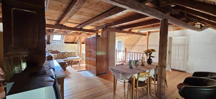 Prodej rodinného domu, Javorník - Zálesí, Zálesí, 615 m2