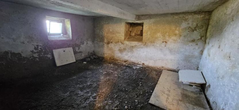 Prodej rodinného domu, Javorník - Zálesí, Zálesí, 615 m2