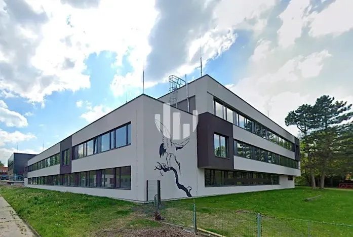 Pronájem kanceláře, Ostrava, Slavíkova, 500 m2