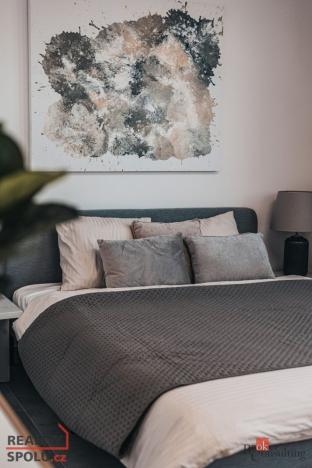 Prodej bytu 4+kk, Plzeň - Černice, Nepomucká, 190 m2