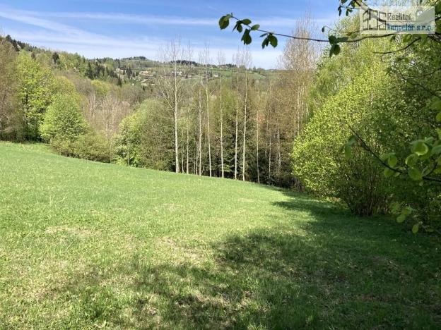 Prodej pozemku pro bydlení, Branná, 7409 m2