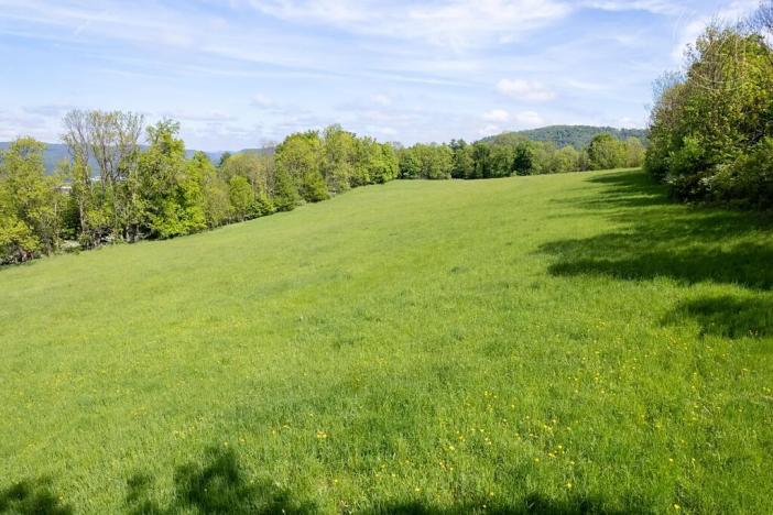 Prodej louky, Děčín, 19126 m2