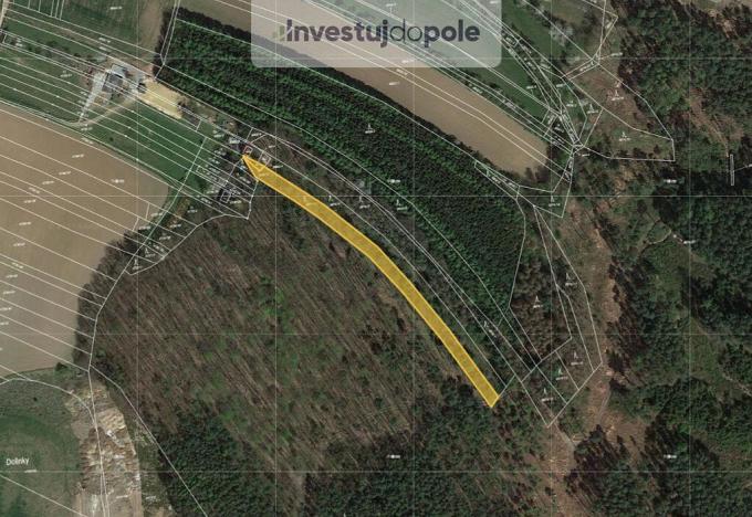 Prodej lesa, Boskovice, Šemberova, 1395 m2