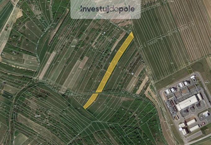 Prodej pole, Dambořice, 4046 m2