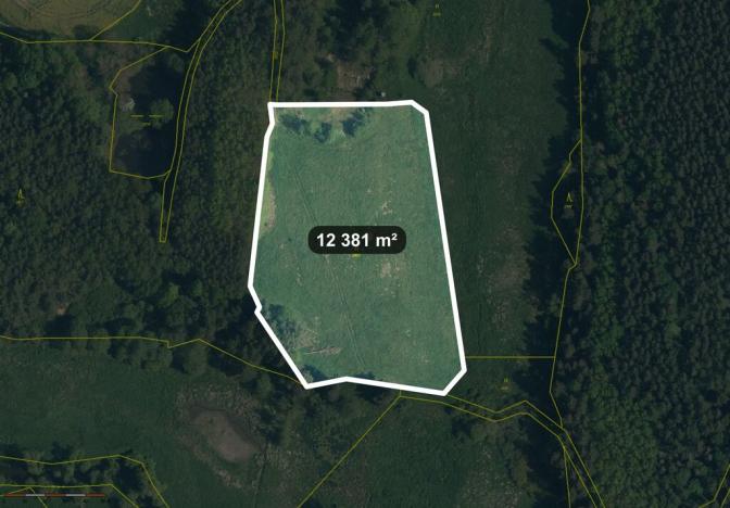 Prodej pole, Lom u Tachova, 12381 m2