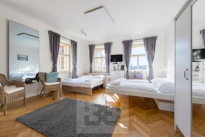 Pronájem bytu 1+kk, Praha - Malá Strana, Cihelná, 47 m2