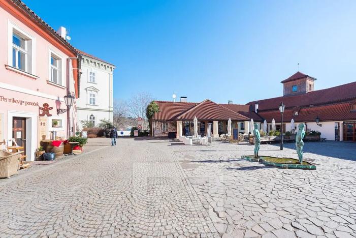 Pronájem bytu 1+kk, Praha - Malá Strana, Cihelná, 47 m2