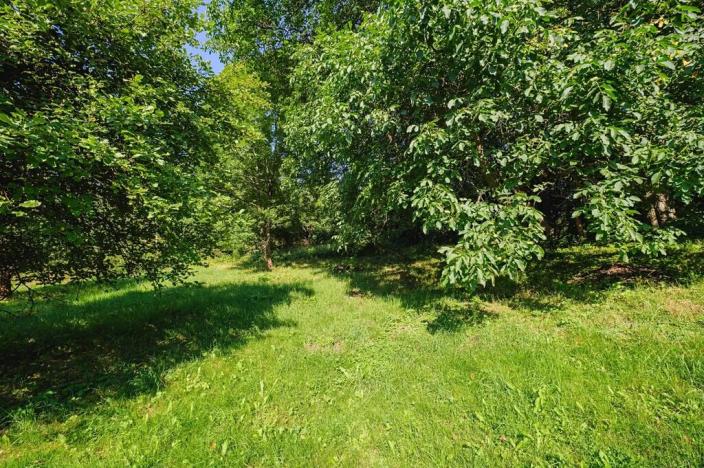 Prodej pozemku pro bydlení, Zlatá Olešnice, 4188 m2