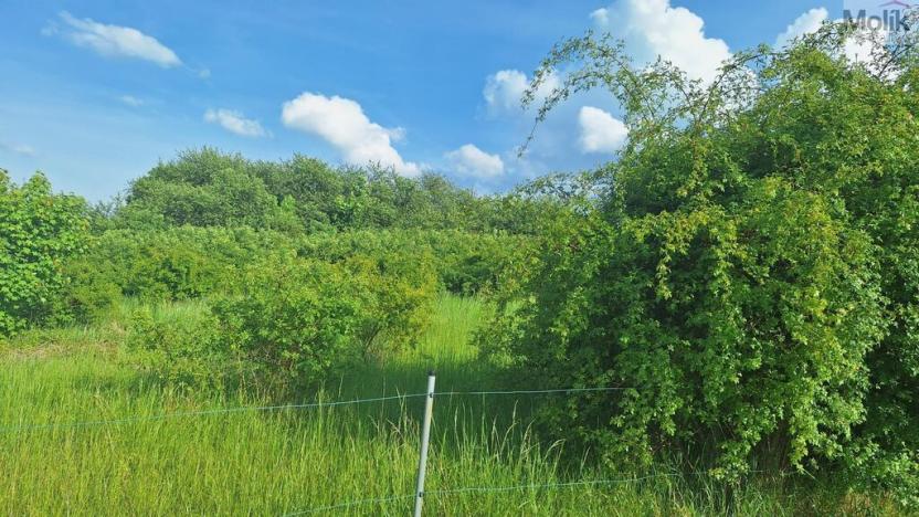 Prodej pozemku pro bydlení, Modlany - Drahkov, 1200 m2