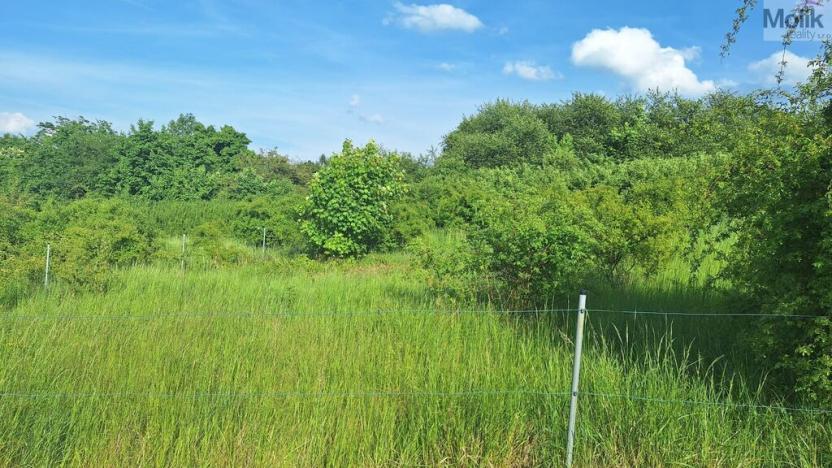 Prodej pozemku pro bydlení, Modlany - Drahkov, 1200 m2