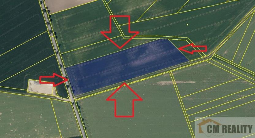 Prodej pole, Výšovice, 25944 m2