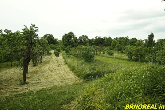 Prodej zahrady, Rousínov, 940 m2