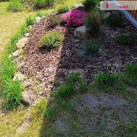 Prodej zahrady, Jílové, Revoluční, 653 m2