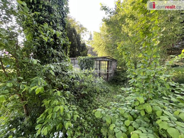 Prodej zahrady, Chlumec - Žandov, 383 m2