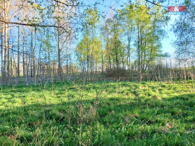 Prodej pozemku pro bydlení, Stará Voda, 2966 m2