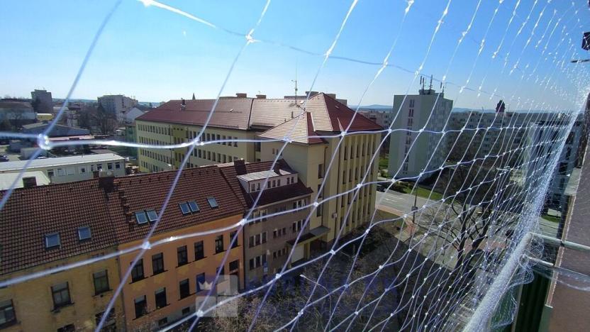 Prodej bytu 2+1, České Budějovice - České Budějovice 7, U Malše, 55 m2