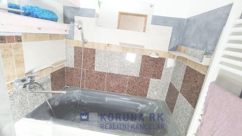 Prodej bytu 2+1, České Budějovice - České Budějovice 7, U Malše, 55 m2