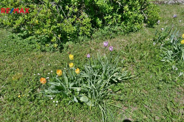 Prodej rodinného domu, Židovice, 86 m2