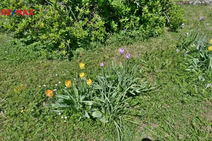 Prodej rodinného domu, Židovice, 86 m2