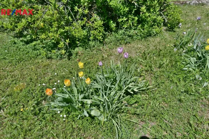 Prodej rodinného domu, Židovice, 86 m2