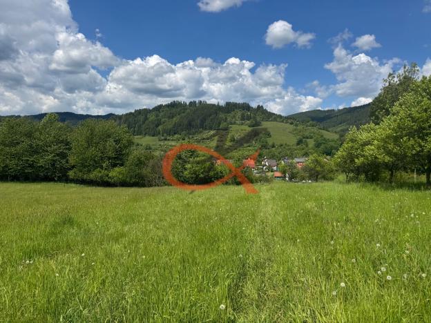 Prodej louky, Nový Hrozenkov, 25140 m2