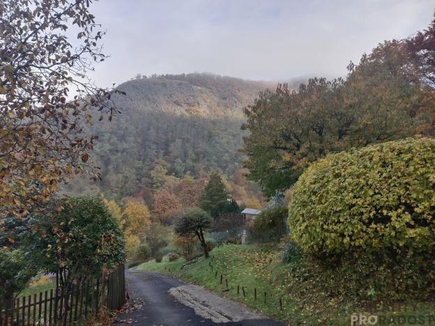 Prodej zahrady, Ústí nad Labem, Broskvoňová, 428 m2