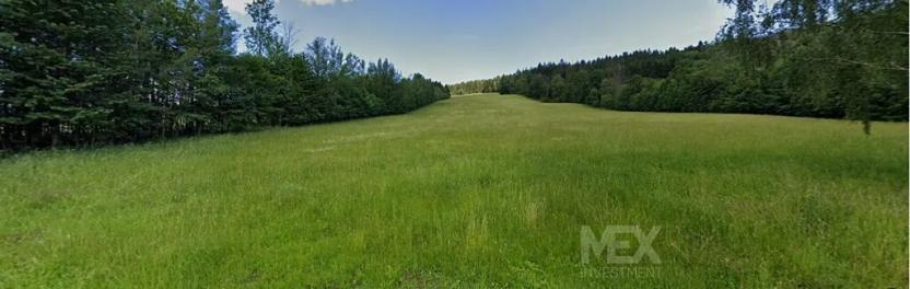 Prodej louky, Rokytnice nad Jizerou, 17539 m2