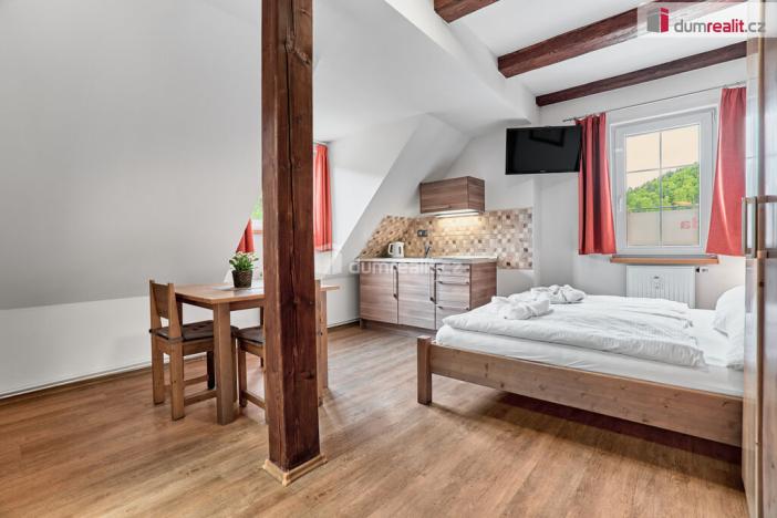 Prodej bytu 1+kk, Merklín - Pstruží, 19 m2