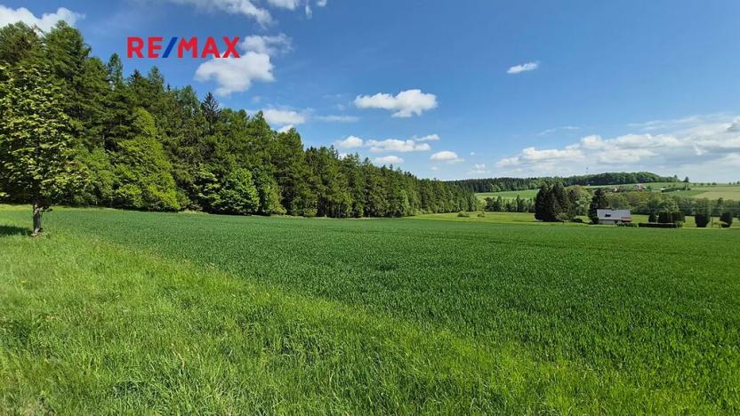 Prodej pozemku pro bydlení, Borová, 7429 m2