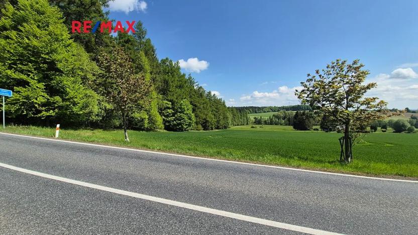 Prodej pozemku pro bydlení, Borová, 7429 m2