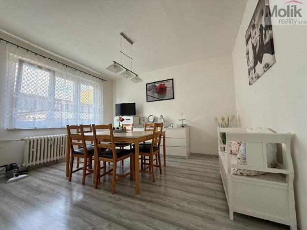 Prodej bytu 3+1, Bílina - Teplické Předměstí, M. Švabinského, 72 m2