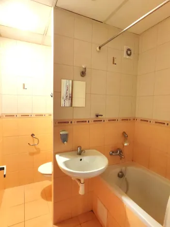 Prodej bytu 1+kk, Orlová, 32 m2