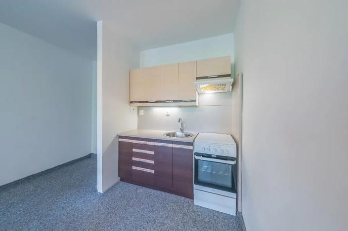 Prodej bytu 1+kk, Orlová, 30 m2