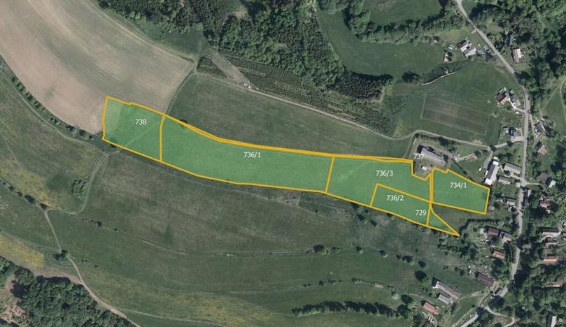 Prodej louky, Vysoká Srbská, 43429 m2