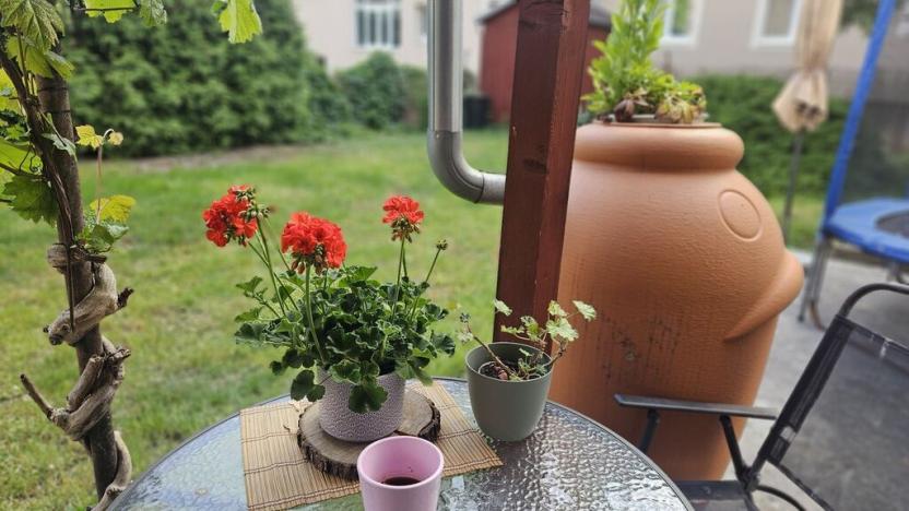 Prodej rodinného domu, Ústí nad Labem, Sukova, 400 m2