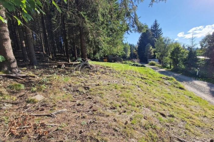 Prodej chaty, Lenora, 10 m2