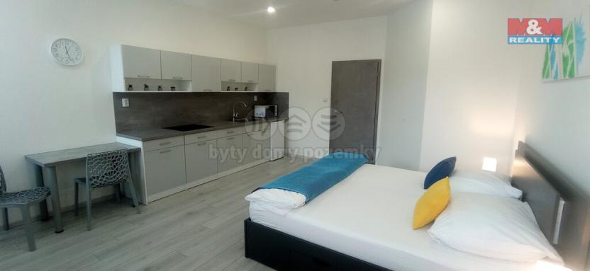 Pronájem bytu 1+kk, Frýdek-Místek - Frýdek, Růžový pahorek, 31 m2