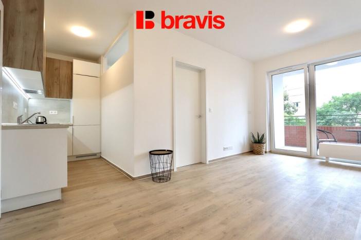 Pronájem bytu 2+kk, Brno - Staré Brno, Křídlovická, 45 m2