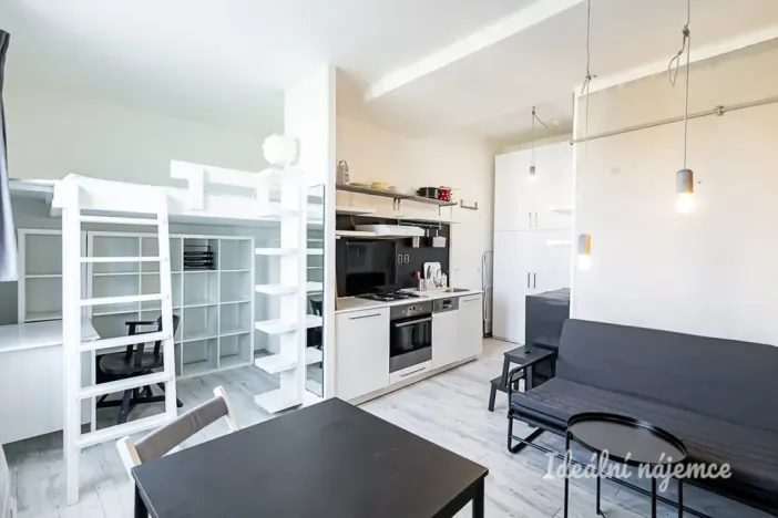 Pronájem bytu 1+kk, Praha - Žižkov, Biskupcova, 22 m2