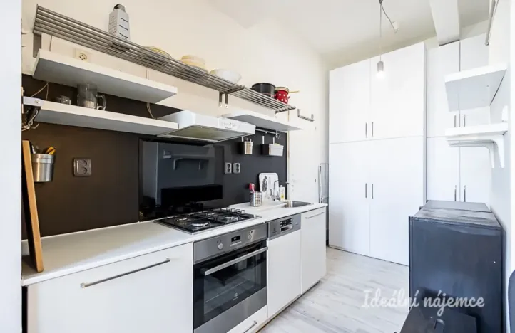 Pronájem bytu 1+kk, Praha - Žižkov, Biskupcova, 22 m2