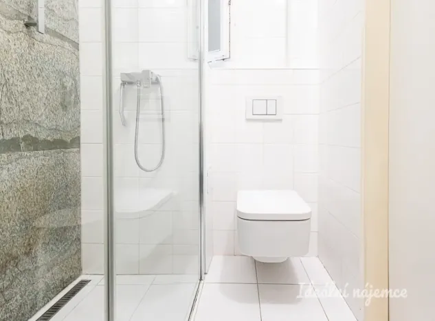 Pronájem bytu 1+kk, Praha - Žižkov, Biskupcova, 22 m2