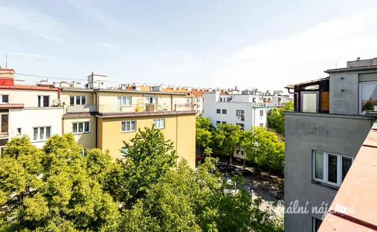Pronájem bytu 1+kk, Praha - Žižkov, Biskupcova, 22 m2