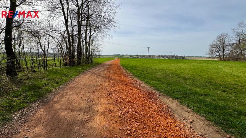 Prodej lesa, Spálov, 25088 m2